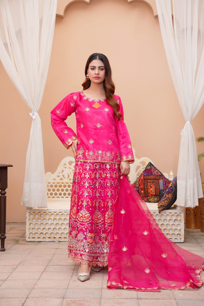 Women's Stitched Fancy Organza Embroidered Lehanga 3Pc